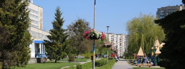 Квітуче різнобарв’я на проспекті Курчатова